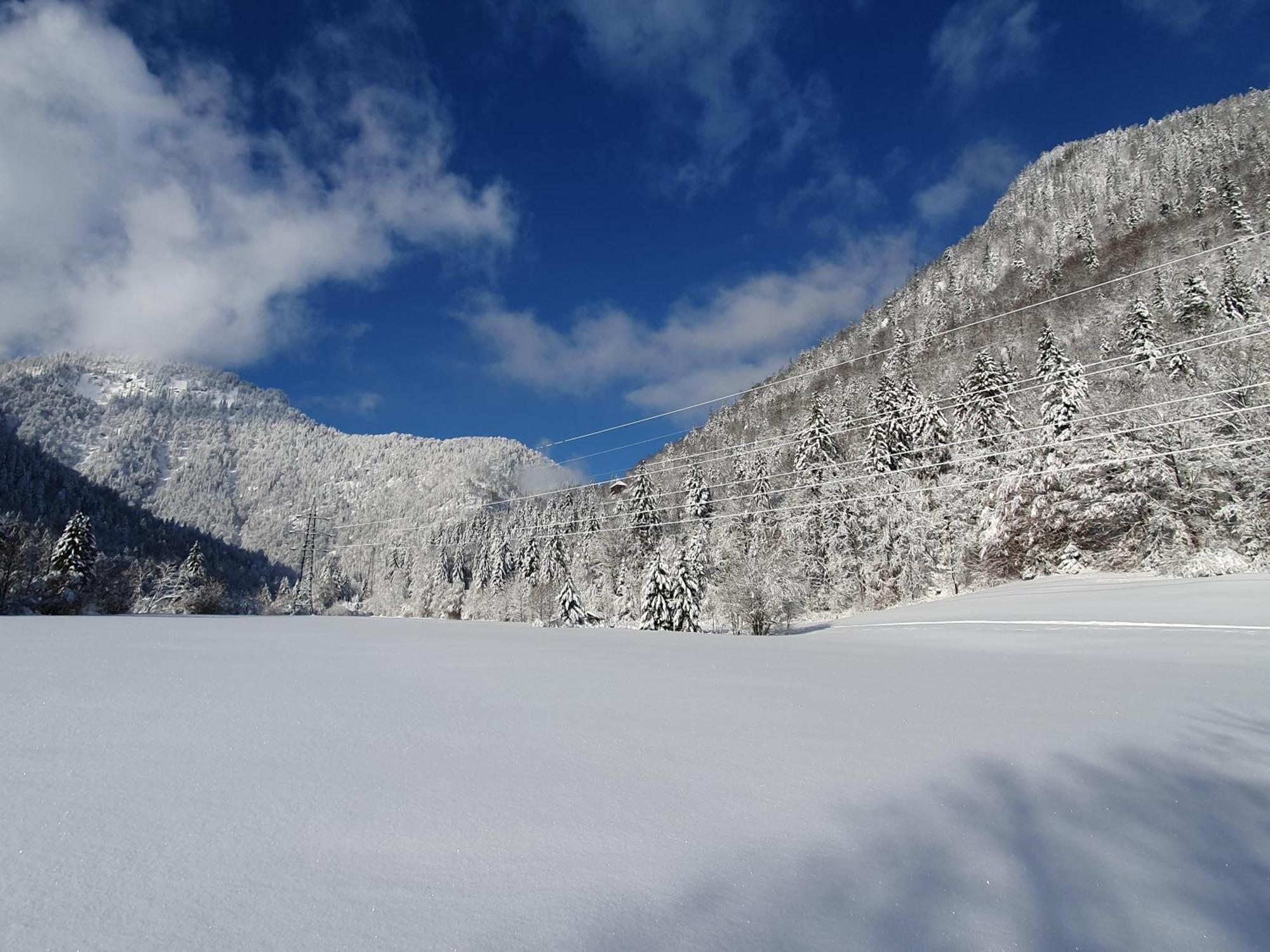 Prümbachhof Daire Schneizlreuth Dış mekan fotoğraf
